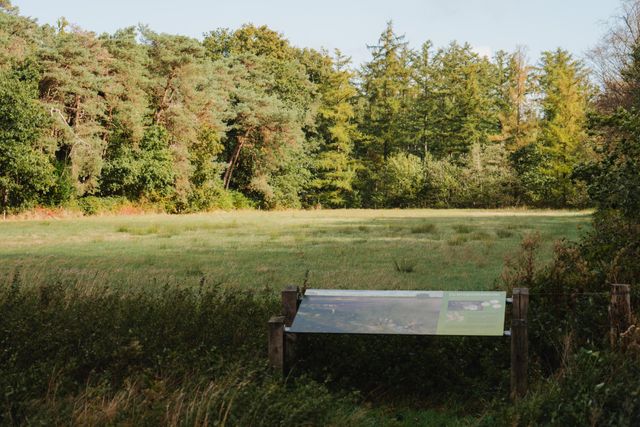 Vindplaats muntschat