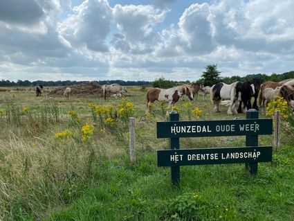 Hunzedal - Oude Weer