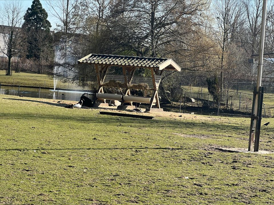 Dierenpark 't Regter Eind