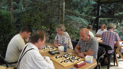 spelers rond het GO bord in Pinetum Blijdenstein
