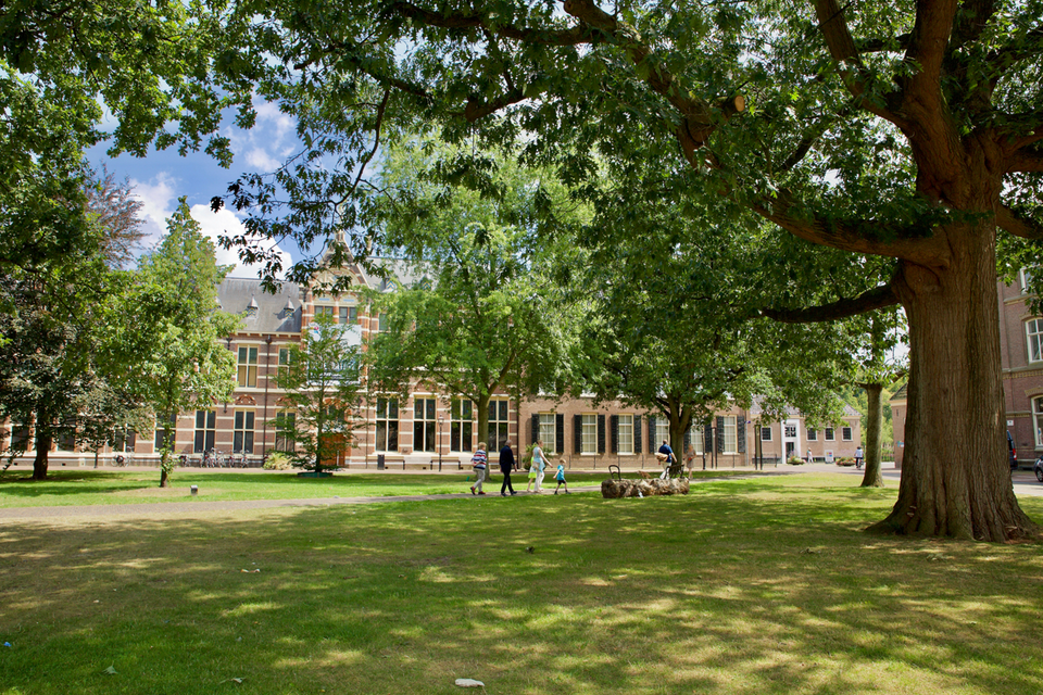 Museumgebouw met daarvoor een grasveld met bomen.