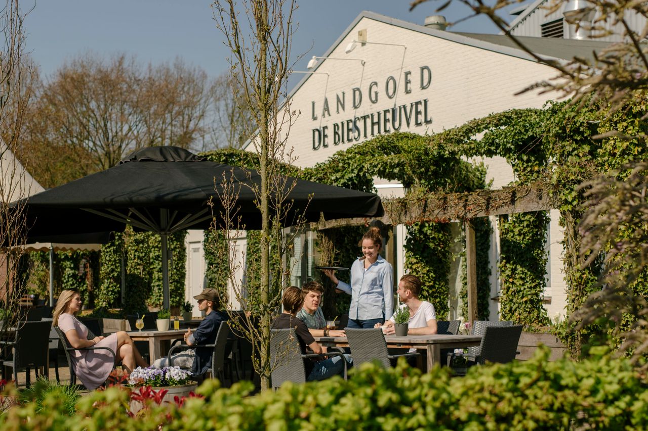 Gezelligheid op terras in Hoogeloon