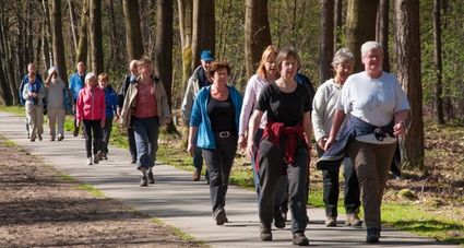 Groep wandelaars