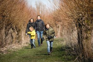 Gezin wandelen in Biesbosch