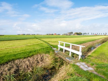 een wit bruggetje over een boerenslootje midden in een weiland