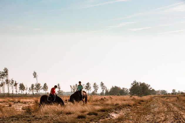 Paardrijden en buitenrit in Noord-Brabant