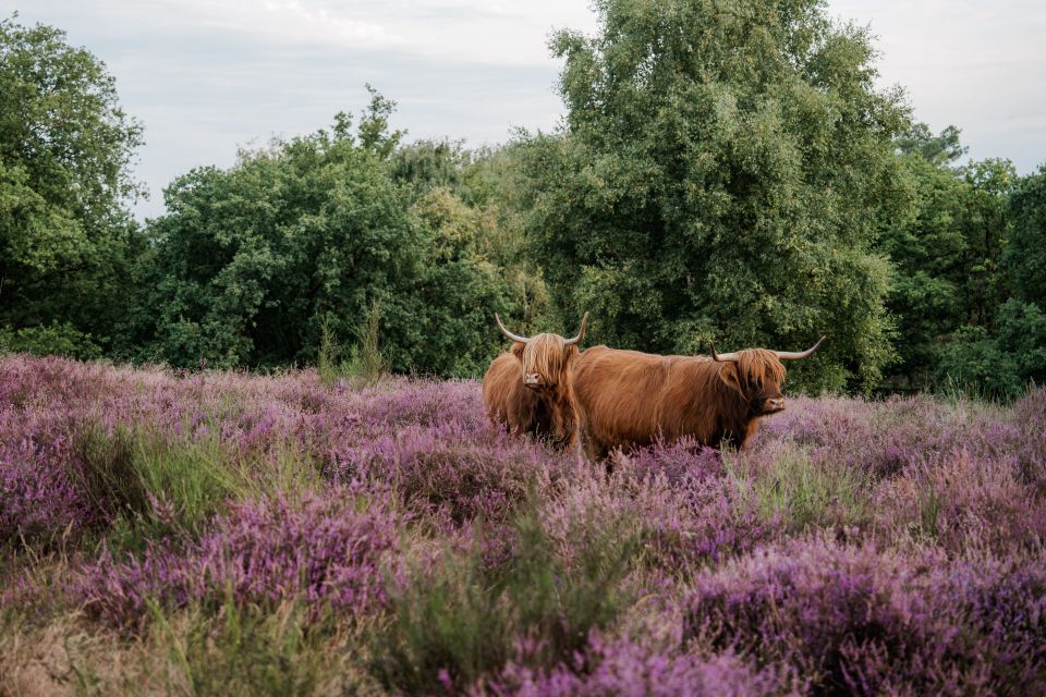 Noord-Limburg Mook en Middelaar Mookerheide