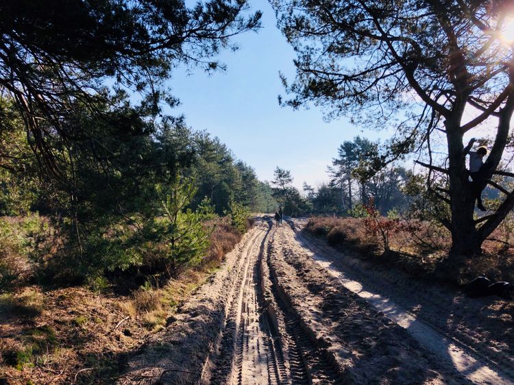 Oirschotse heide