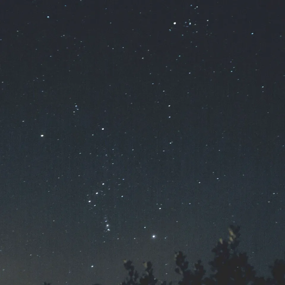 Orion