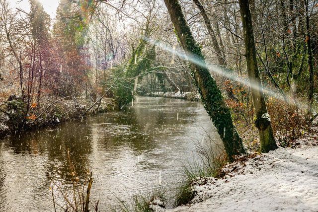 Park Stapelen Dommel - Winter 2026