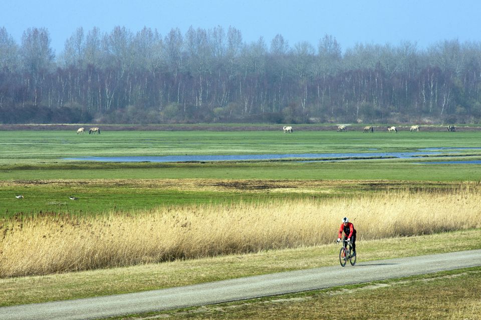 Rondje Lauwersmeer Dokkumer Nieuwe Zijlen