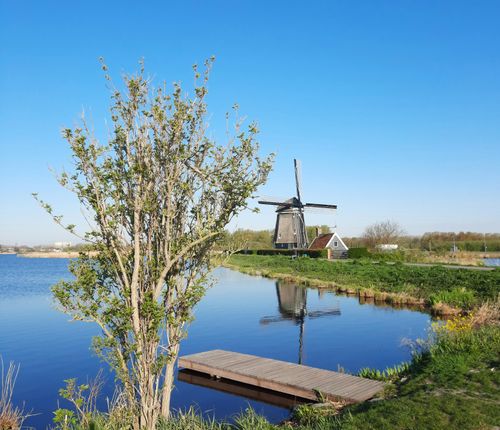 Een foto van de De Twiskemolen op afstand