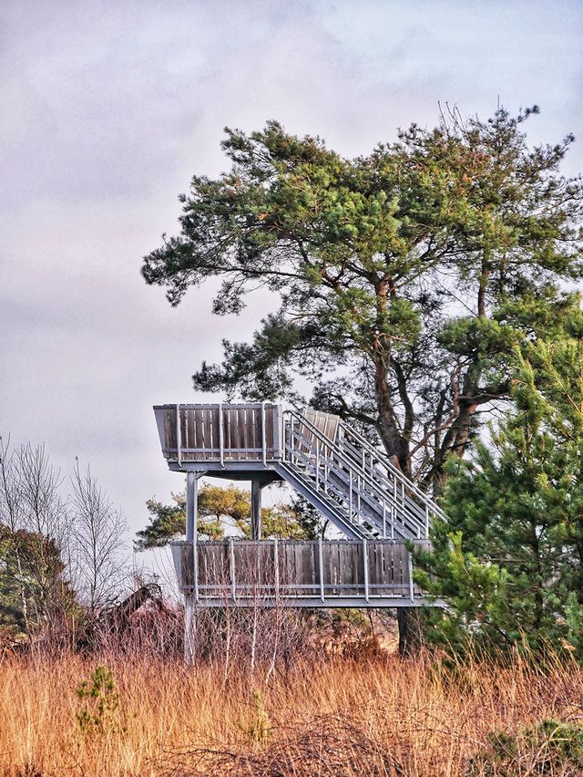 Uitkijktoren Nationaal Park De Groote Peel