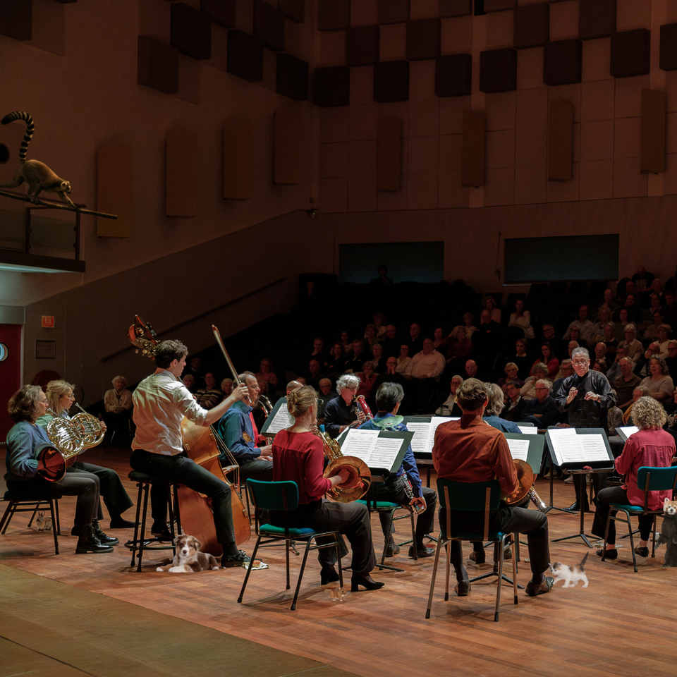 jonge musici op het podium van de Heuvellaan