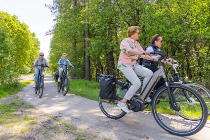 Fietsers in de Kempen