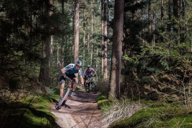 Foto van 2 Mountainbikers die tussen de bomen door fietsen.