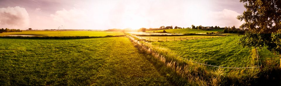 Uitzicht over de natuur van de Brabantse Wal.