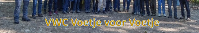 Wandelen