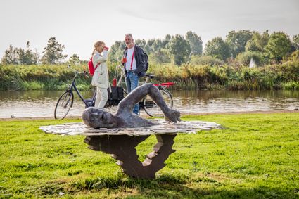 Beeld van zwemmer Maarten van der Weijden.