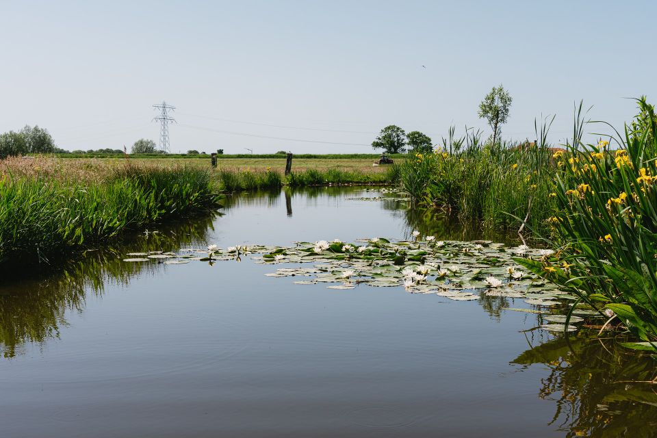 Een sloot in het landschap