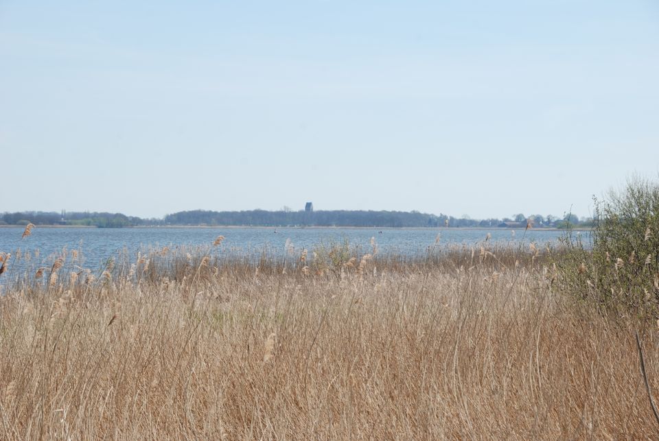 Wandelen tussen water en land in Waterland