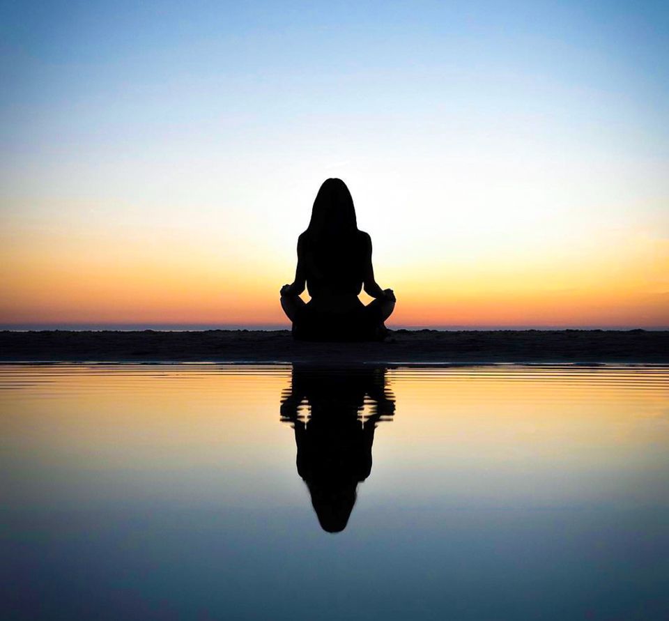Wellness