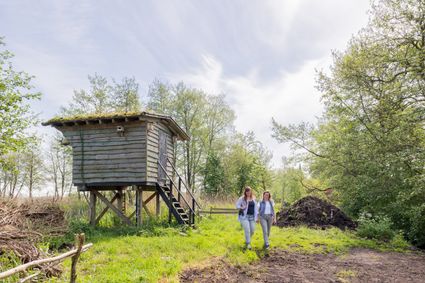 Wandelen bij de vogelkijkhut in Zuidoost-Friesland