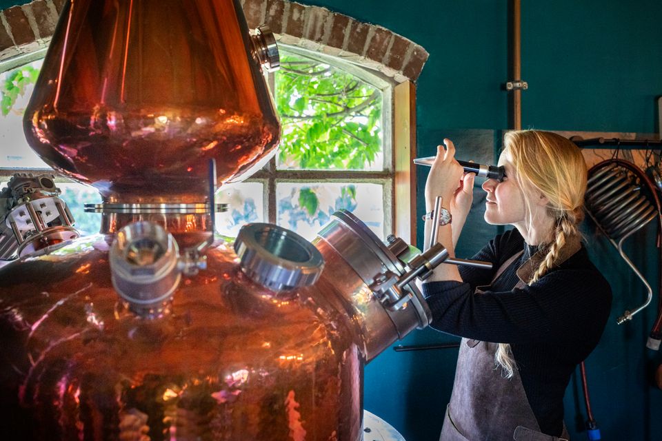 Distillateur controleert de kwaliteit van de drank bij The Chamberick Distillery in Houten – ambachtelijk vakwerk met traditionele koperen ketels, onderdeel van Hollandse Ambachten Utrecht Region.