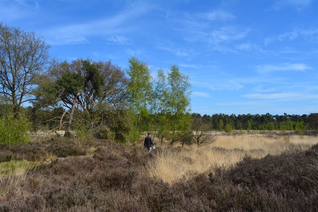 Natuurgebied Hooge Mierde