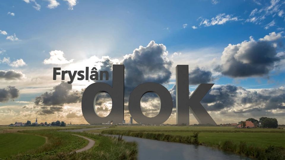 Logo van Fryslân DOK.