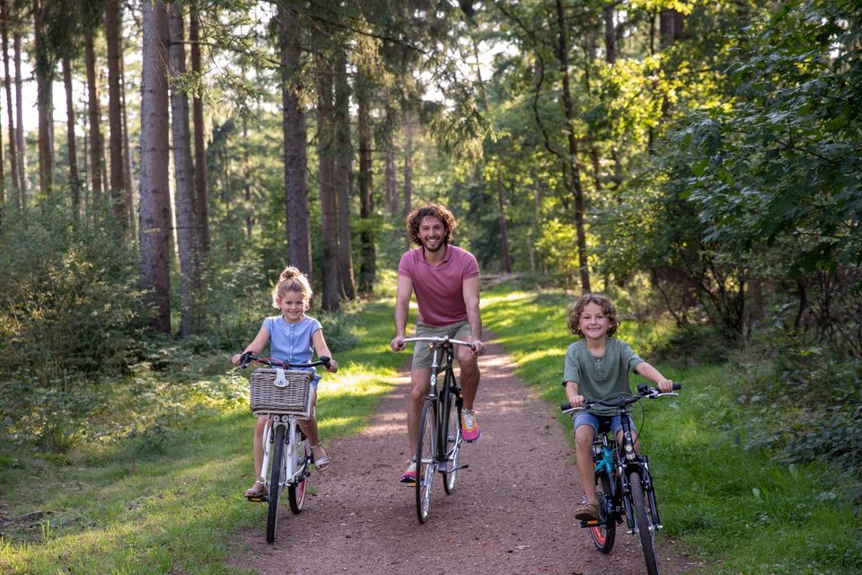 Ein Vater fährt im Sommer lachend mit seinen beiden Kindern durch den Wald.