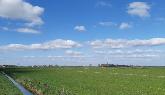 Buitengebied Oss in de lente