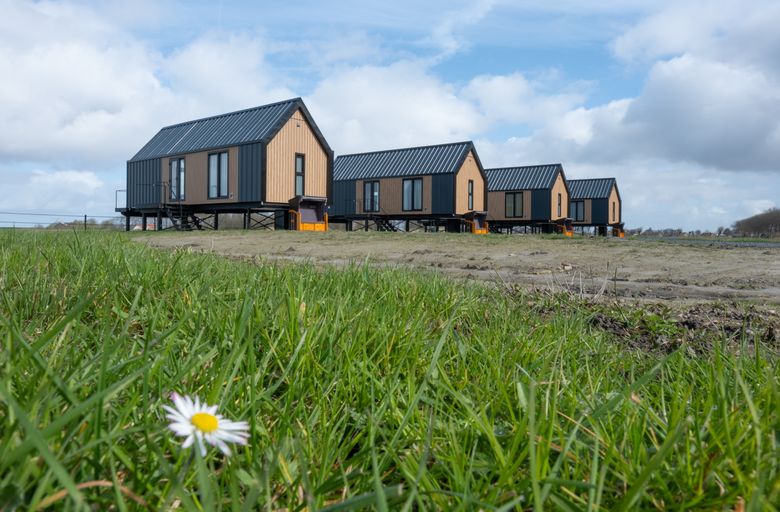 Wad en Loft in het vroege voorjaar