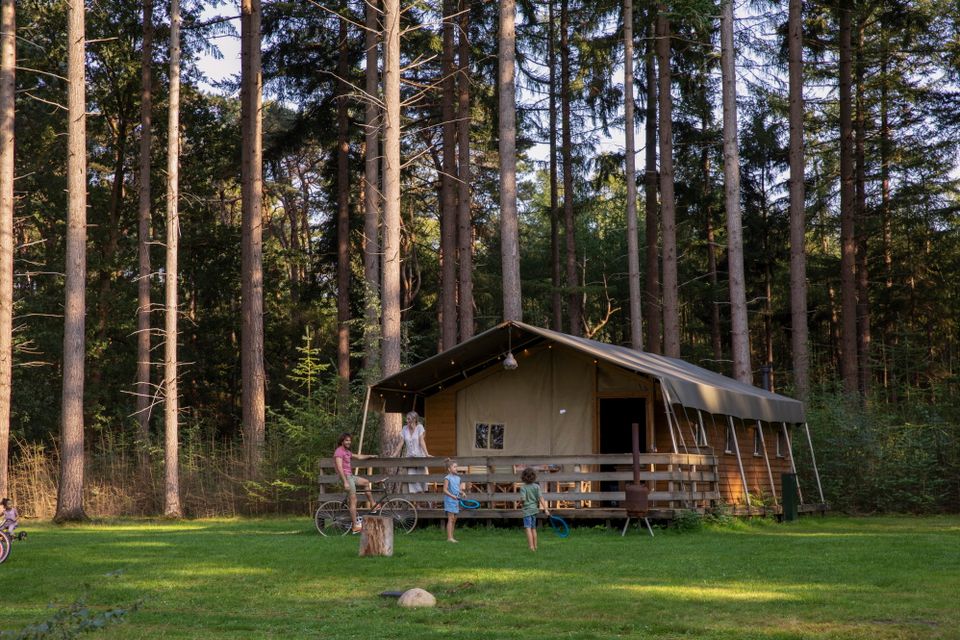 Gezin verblijft in een safaritent op een camping tussen de hoge bomen.