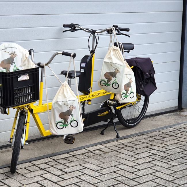 Elektrische kindertandem