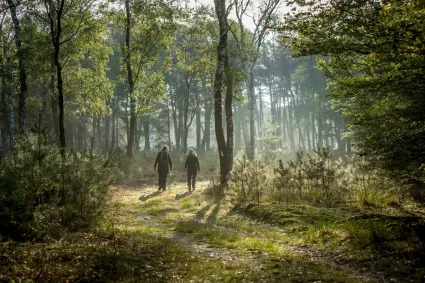 Hoge Veluwe Wandeldag