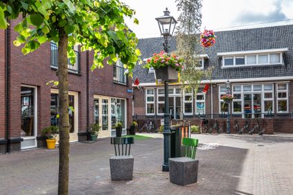 Dorpsstraat in Zoetermeer - bankjes en leilinde
