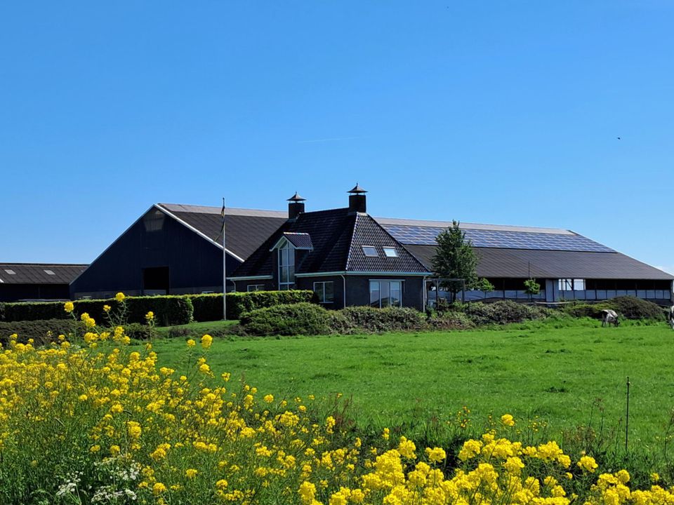 Eetbaar Fryslân: rondje Friese meren