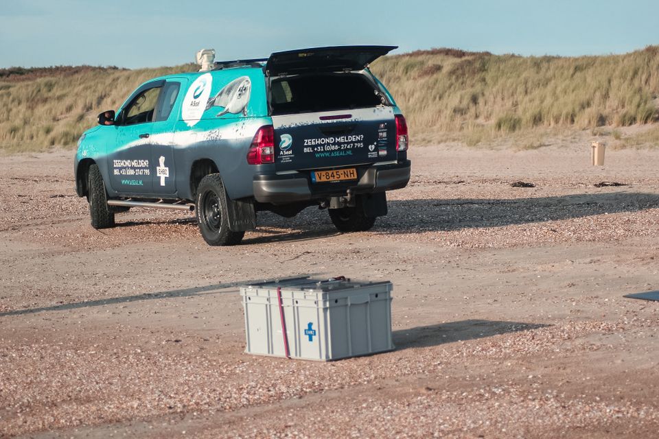 Zeehond vrijlaten met A Seal op Goeree-Overflakkee