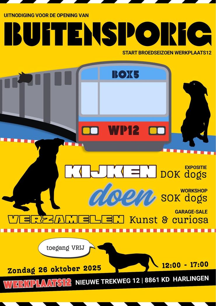 Affiche Buitensporig