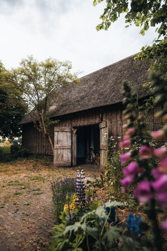 De hoge openslaande deuren van de Wilmsboo, met de rieten buitenmuren en het rietendak, staan open voor de nieuwe bezoekers