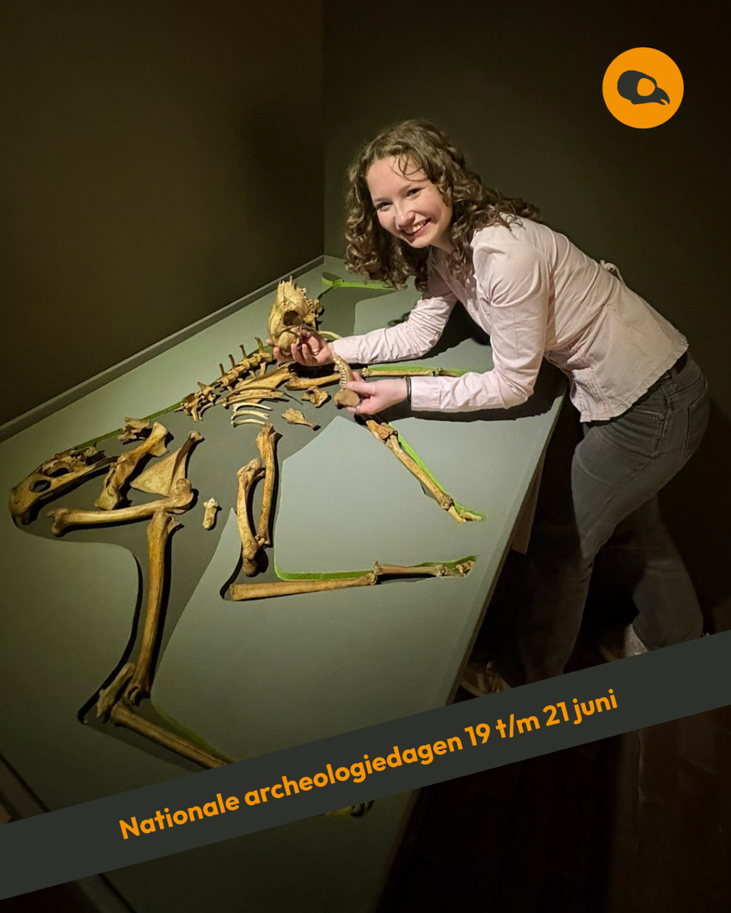 Meisje in de tentoonstelling 'Uitgeleefd, Beesten & Botten uit Brabantse Bodem'
