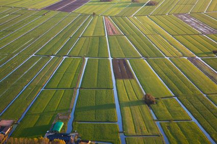 cope landschap groene hart