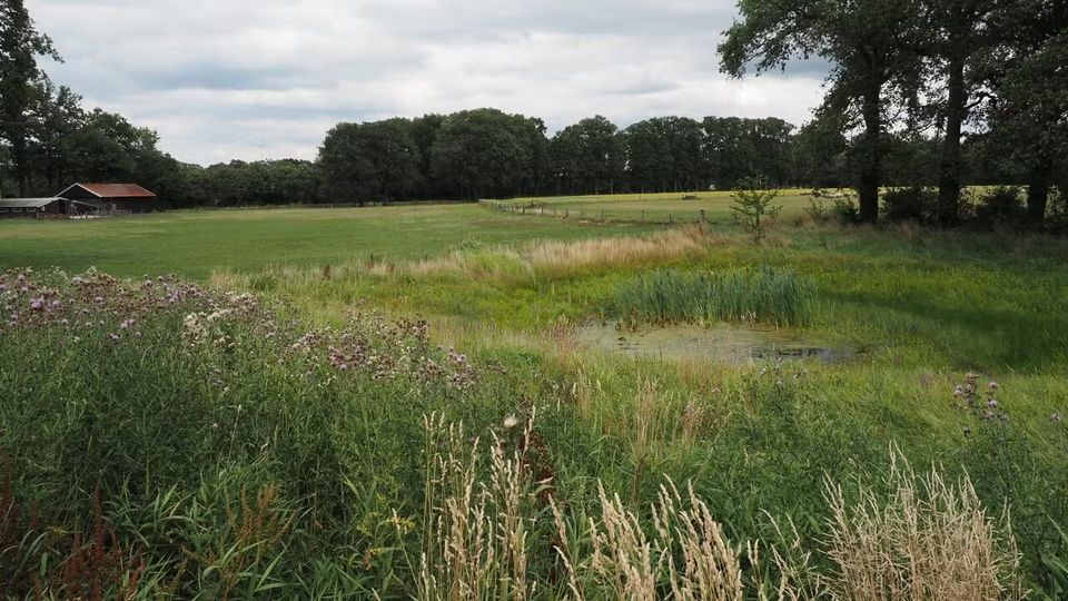 Geldersch Landschap en Kasteelen