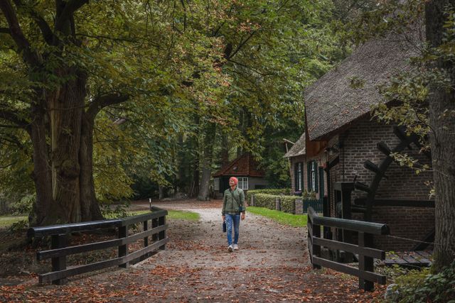 Herfst Noord-Limburg Rosmolen Geijsteren