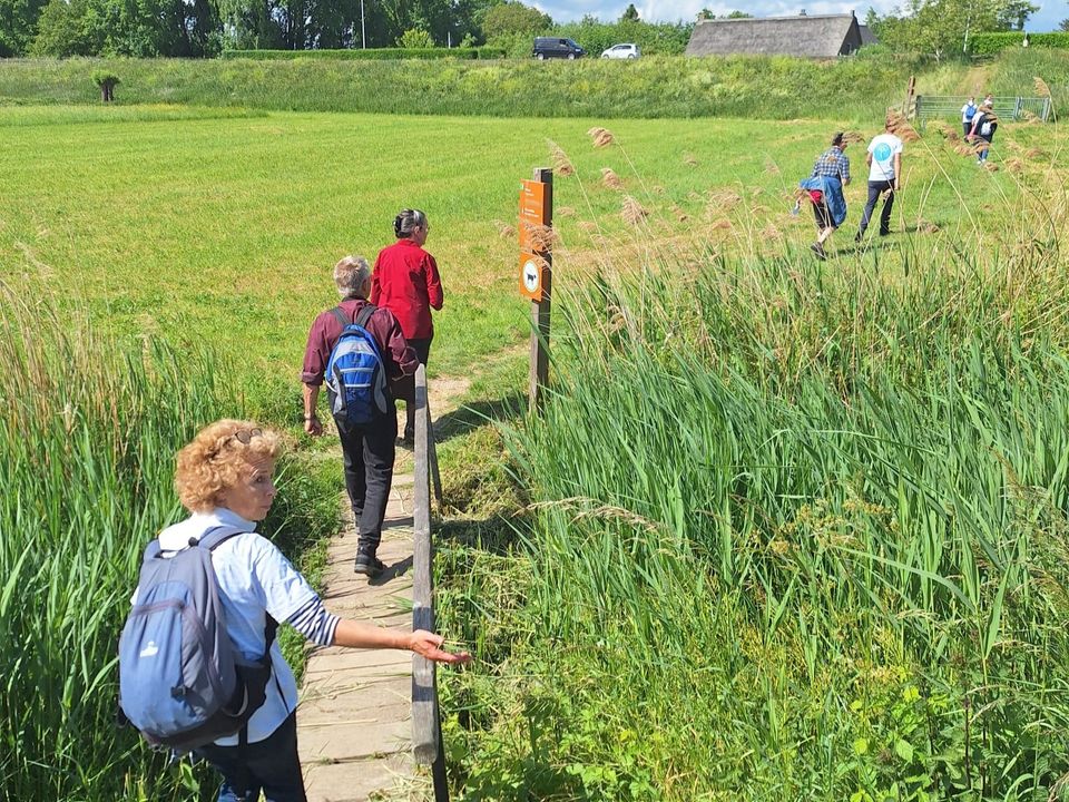 Foto van wandelaars Sport4Hope
