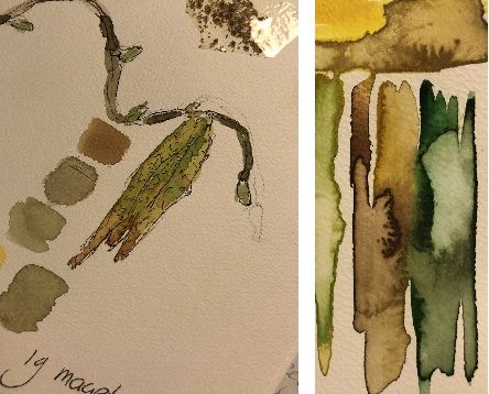 Kleine-Lijn natuurjournal