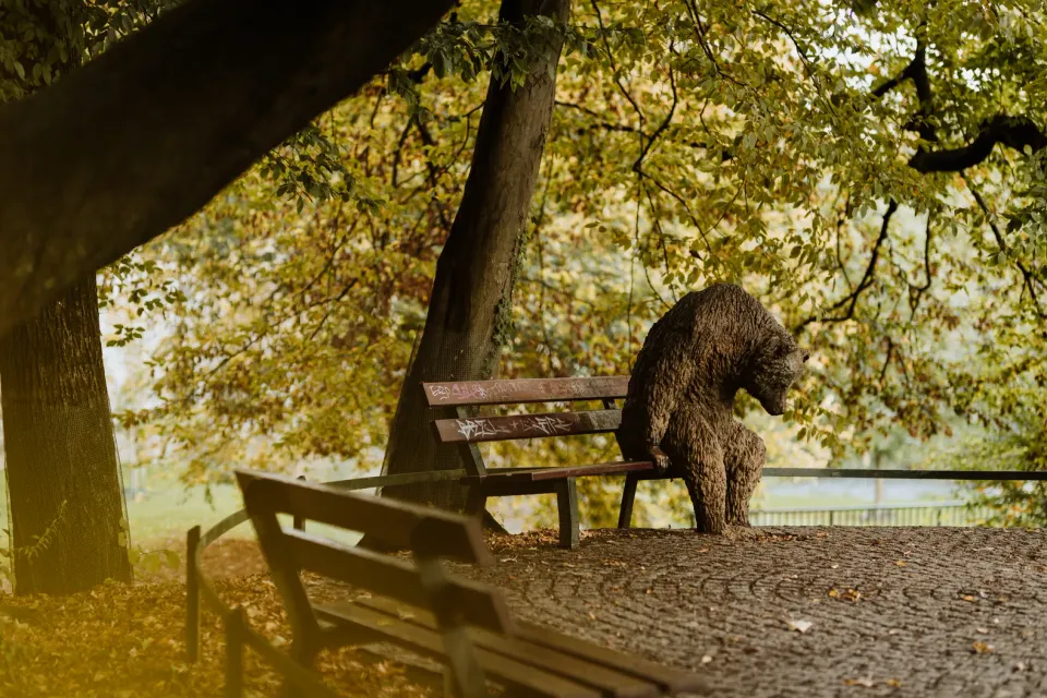 Statue bear in Maastricht Stadspark (city park)