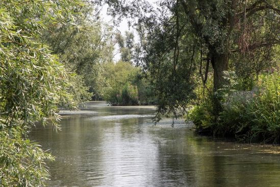 Natuurgebied Oeverlanden Hollands Diep