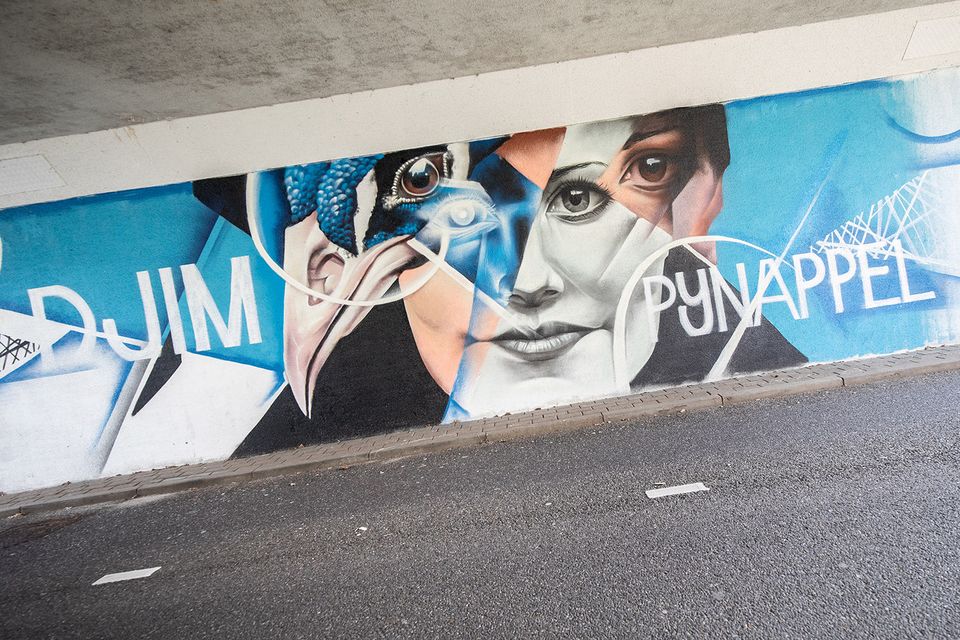 StreetArt in Ede - BezoekEde